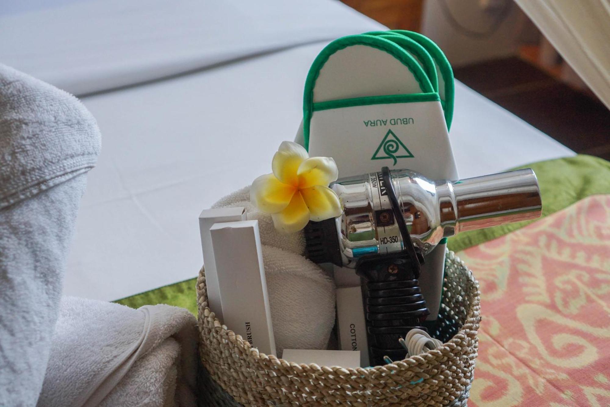 Aura Wellness Sanctuary Resor